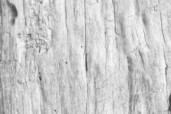 Білий Фон Текстури Дерева Порожній Дизайну — стокове фото