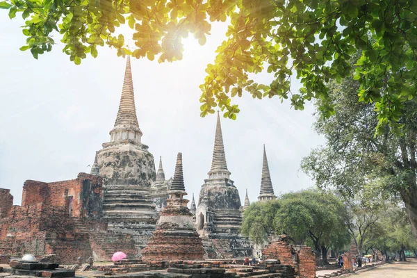 Thailandia Parco Storico Phra Nakhon Ayutthaya Pagoda Tempio Ayutthaya Wat — Foto Stock