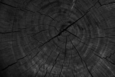 Siyah ahşap arka plan dokusu. Tasarım için boşluk