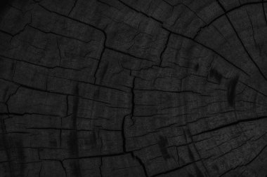 Siyah ahşap arka plan dokusu. Tasarım için boşluk