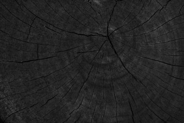 Siyah ahşap arka plan dokusu. Tasarım için boşluk
