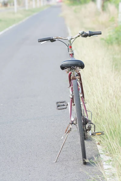 春の風景と自転車道 — ストック写真