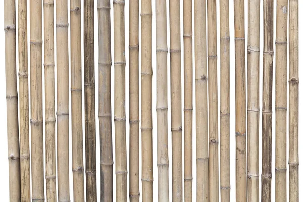 Bamboo Fence Isolated White Background Clipping Path — Stock Photo, Image