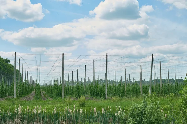 Antik tuğla duvar parçası