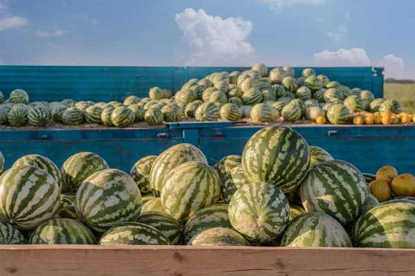 Karpuz gökyüzü arka plan üzerinde