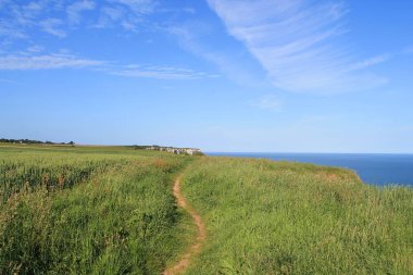 Beach ans kayalıklarla Etretat Fransa