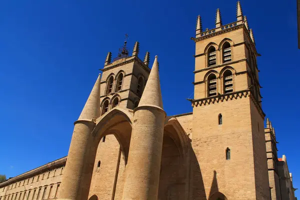 Basilica of saint Pierre w Montpellier, Francja — Zdjęcie stockowe