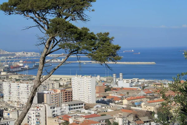 Algiers, Algeriet capital city — Stockfoto