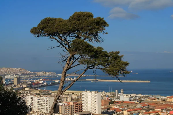 Algiers, Cezayir sermaye şehir — Stok fotoğraf