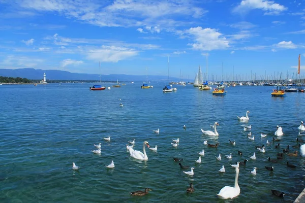 Geneva Lake Switzerland — Stock Photo, Image