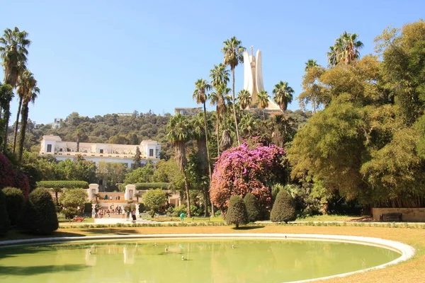 Botanikus Kert Algiers Algéria — Stock Fotó