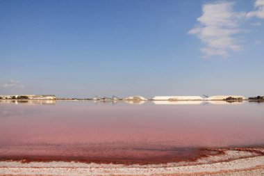 The amazing Aigues Mortes Salt Marsh, Camargue, France clipart