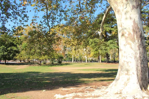 Prachtige Tuin Het Historische Centrum Van Montpellier Herault Frankrijk — Stockfoto