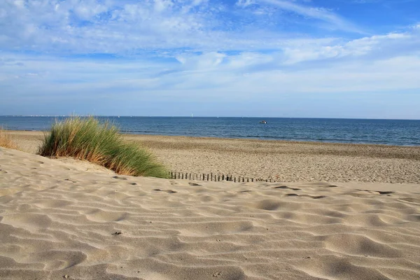 Niesamowite Piaszczystej Plaży Regionie Camargue Południowej Francji — Zdjęcie stockowe