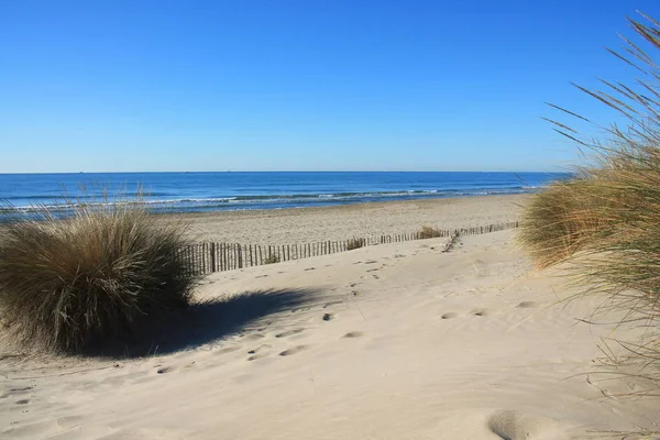 Incroyable Plage Sable Fin Camargue Dans Sud France — Photo