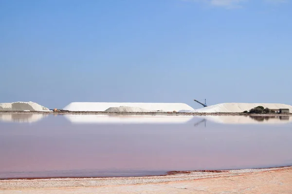 Amazing Aigues Mortes Salt Marsh Camargue Francia —  Fotos de Stock