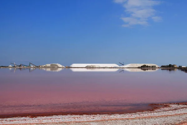 Die Erstaunlichen Aigues Mortes Salzwiesen Camargue Frankreich — Stockfoto