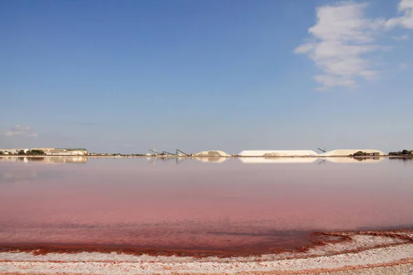 Die Erstaunlichen Aigues Mortes Salzwiesen Camargue Frankreich — Stockfoto