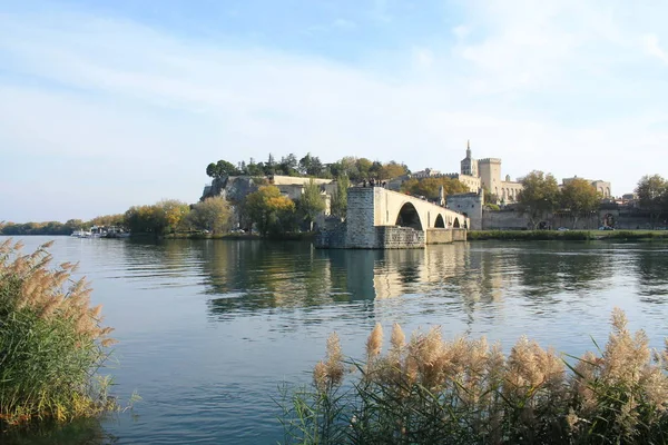 Avignon Cidade Sudeste França Departamento Vaucluse Margem Esquerda Rio Rhne — Fotografia de Stock