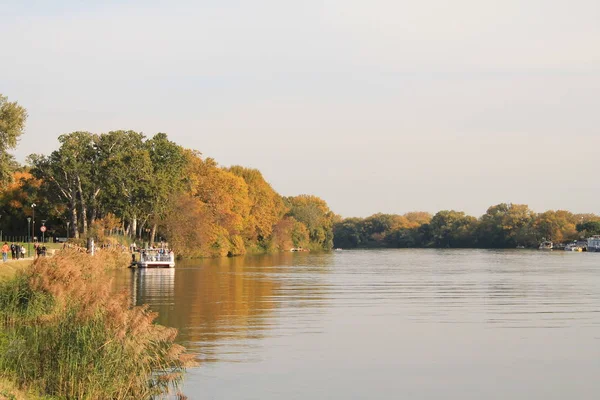 Avignon, City in the south-eastern France in the department of Vaucluse on the left bank of the Rhne river