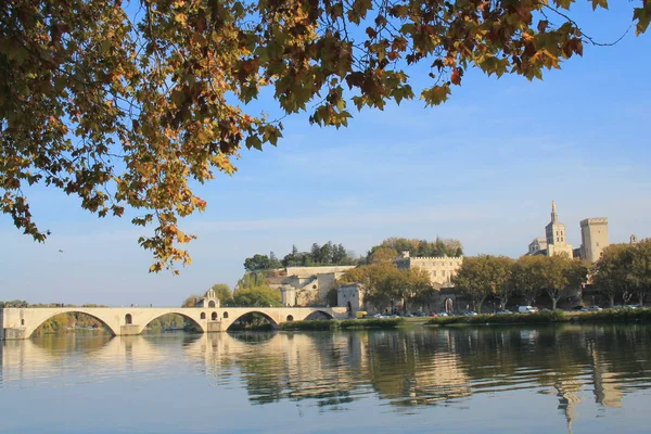 Avignon Cidade Sudeste França Departamento Vaucluse Margem Esquerda Rio Ródano — Fotografia de Stock