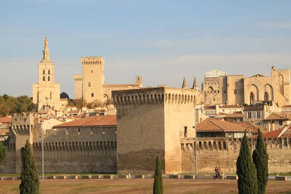 Avignon City South Eastern France Department Vaucluse Left Bank Rhone — Stock Photo, Image