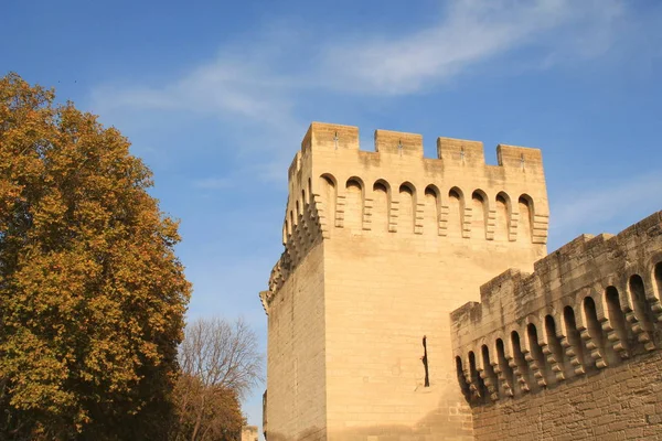 Avignon Stadt Südosten Frankreichs Departement Vaucluse Linken Ufer Der Rhone — Stockfoto