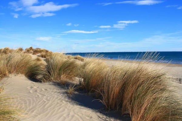 Όμορφη Αμμώδη Παραλία Στην Περιοχή Της Camargue Στη Νότια Γαλλία — Φωτογραφία Αρχείου