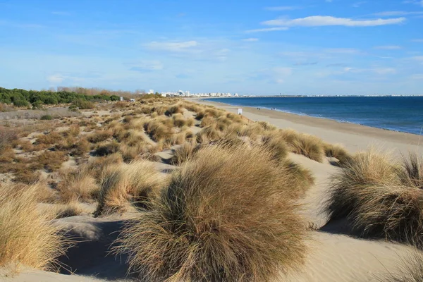 Pięknej Piaszczystej Plaży Regionie Camargue Południowej Francji — Zdjęcie stockowe