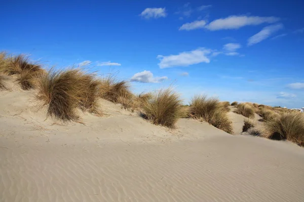 Beautiful Sandy Beach Camargue Region South France — Stock Photo, Image