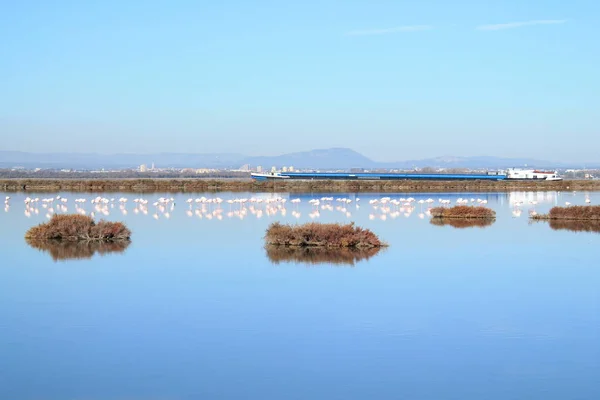 Palavas Les Flots Montpellier Güneyinde Bir Sahil Beldesi — Stok fotoğraf