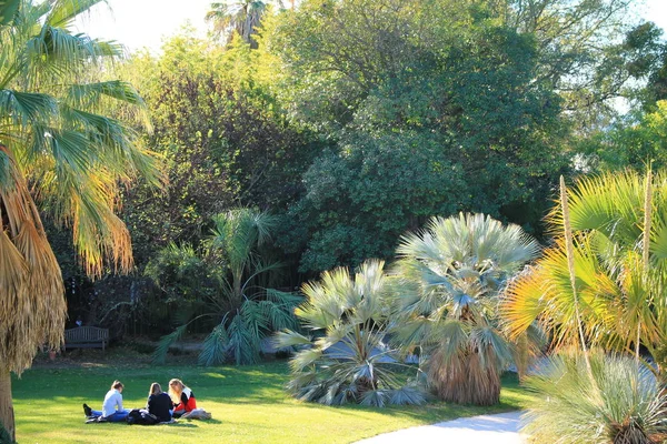 Botanical Garden Flaugergues Castle Montpellier Occitanie Region Southern France — Stock Photo, Image