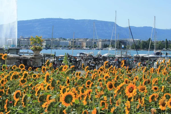 Όμορφη Θέα Της Πόλης Της Γενεύης Τις Βάρκες Στη Λίμνη — Φωτογραφία Αρχείου