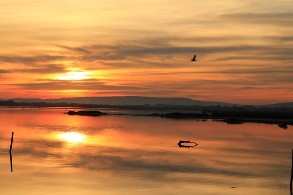 Camargue Fransa Için Şaşırtıcı Günbatımı Stok Fotoğraf