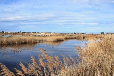 Aigues Mortes Tuz Bataklığı, Camargue, Fransa