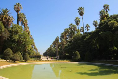 Algiers, Cezayir başkenti şehir Botanik Bahçesi