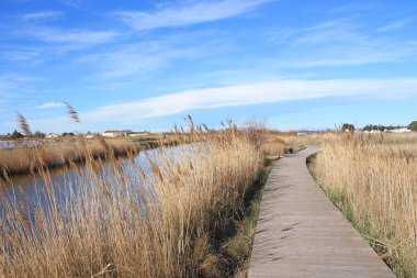 Aigues Mortes Tuz Bataklığı, Camargue, Fransa