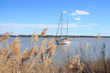 Camargue, Fransa için botanik ve zooloji doğa rezerv