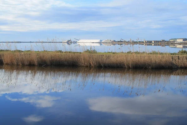 Aigues Mortes Salt Marsh Camarging France — стокове фото