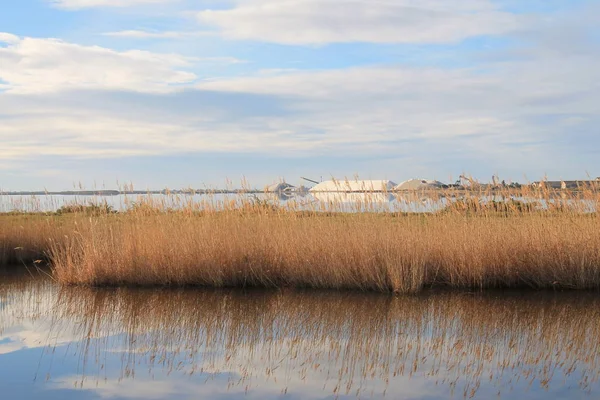 Aigues Mortes Salt Marsh Camarging France — стокове фото