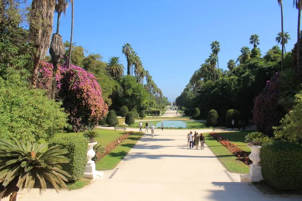 Ogród Botaniczny Algierze Stolicy Miasto Algierii — Zdjęcie stockowe