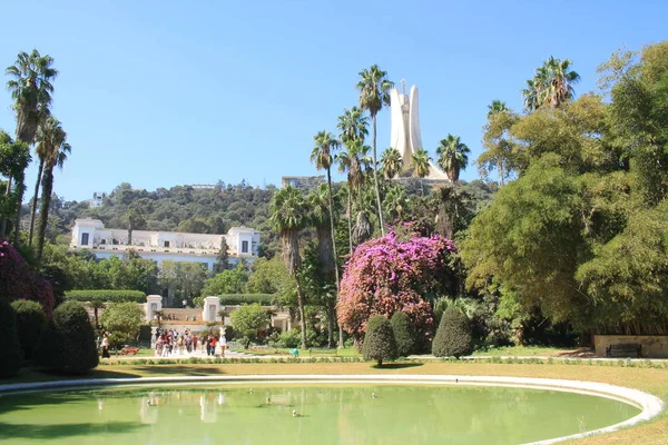 Orto Botanico Algeri Capitale Dell Algeria — Foto Stock