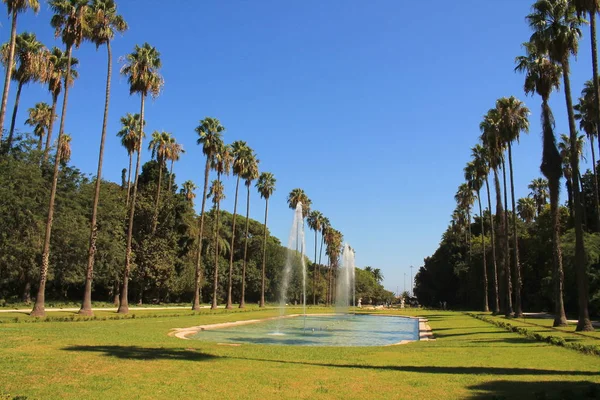 Jardín Botánico Argel Capital Argelia — Foto de Stock