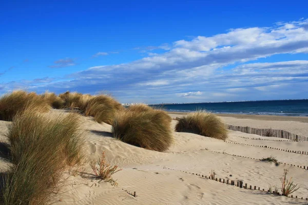 南フランスのカマルグ地方の美しい砂浜 — ストック写真