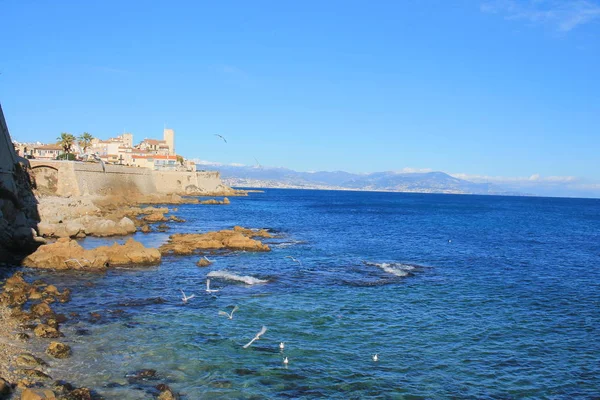 Antigua Ciudad Fortificada Antibes Famoso Museo Picasso Costa Azul Francia —  Fotos de Stock