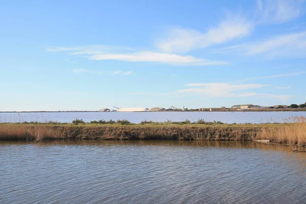 Aigues Mortes Salt Marsh Camarging France — стокове фото