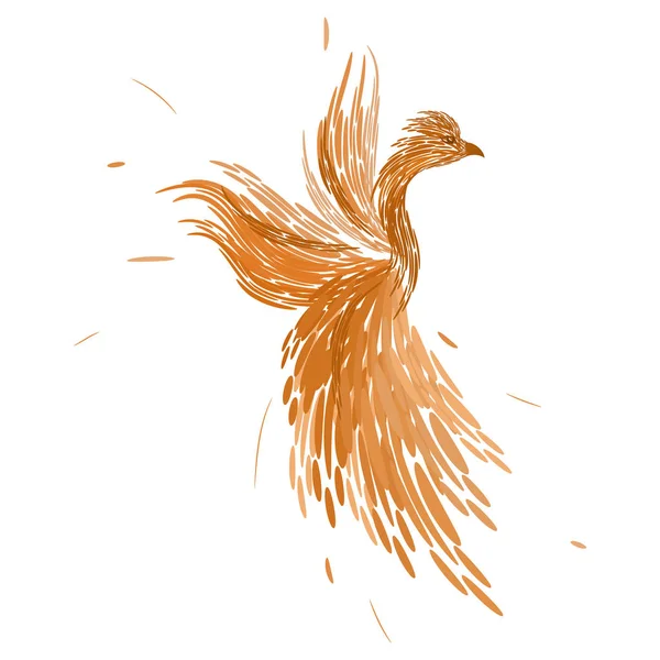 Zangvogels oranje kleuren — Stockvector