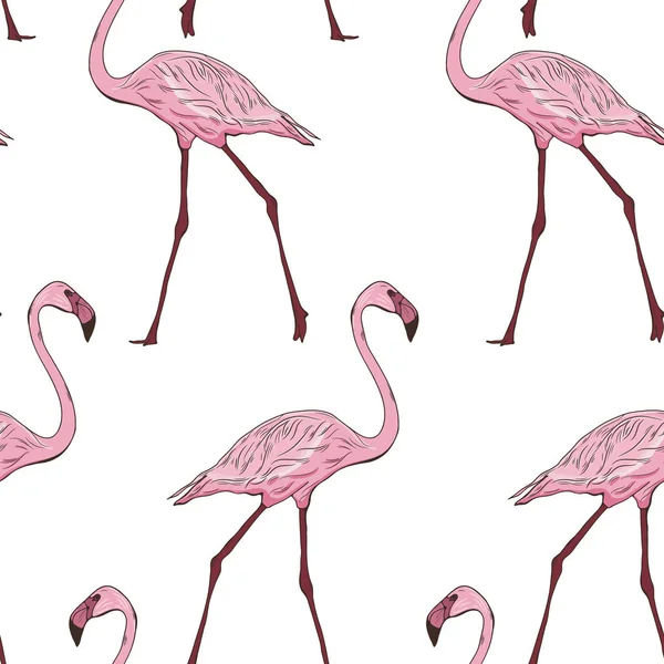 Seamless pattern with flamingos — Stock Vector