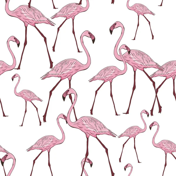 Бесшовный рисунок с фламинго — стоковый вектор