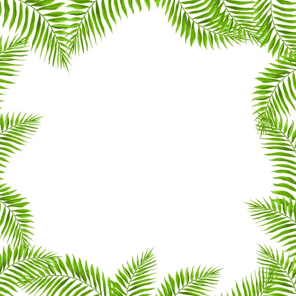 Frame with green exotic leaves — Stock Vector